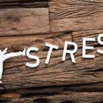 Aanpak van stress